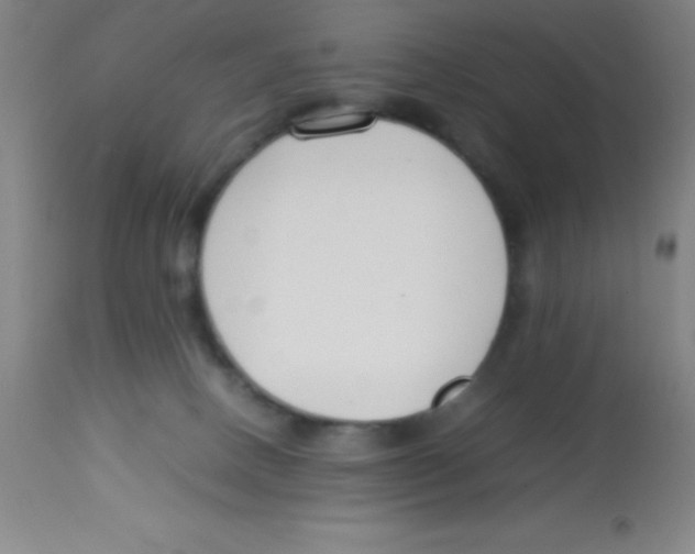 X0000113750082200910211156