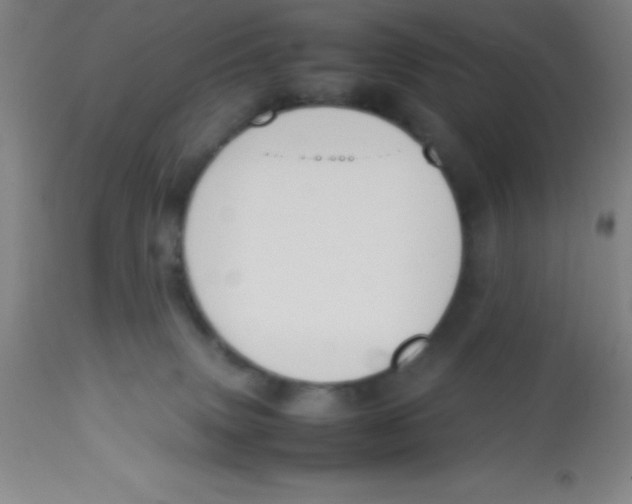 X0000113750083200910211156