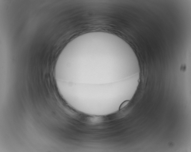 X0000113750085200910211156