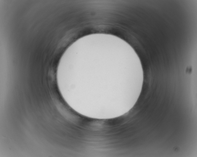 X0000113750086200910211156