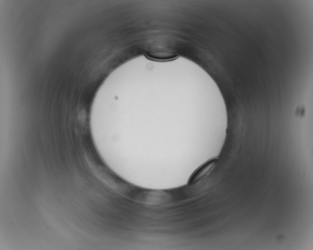 X0000113750087200910211156