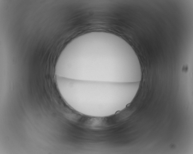 X0000113750089200910211156