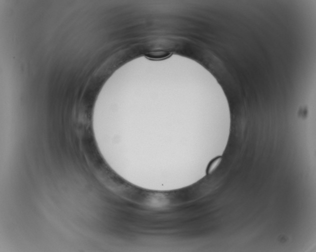 X0000113750091200910211156