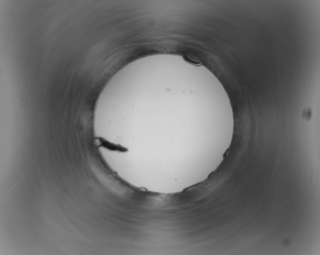 X0000113750092200910211156