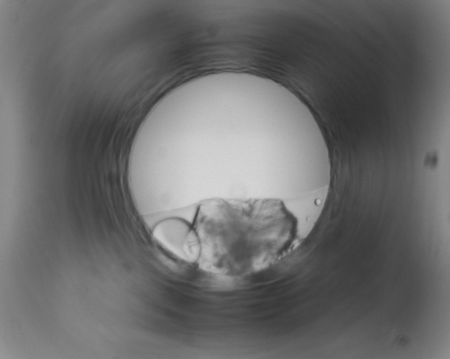 X0000113750093200910211156