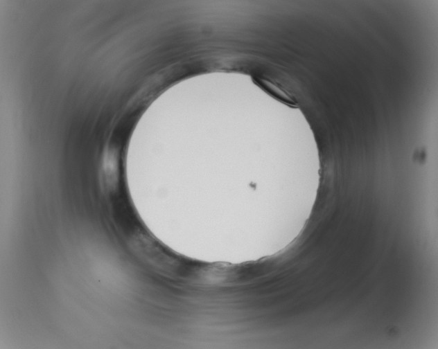 X0000113750094200910211156