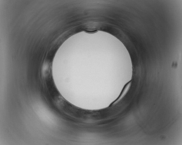 X0000113750095200910211156