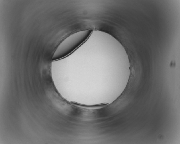 X0000113750096200910211156