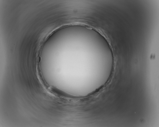 X0000113750097200910211155