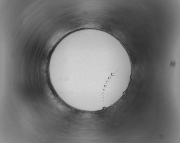 X0000113750098200910211155