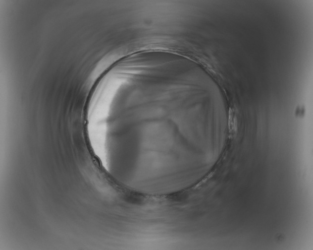 X0000113750099200910211155