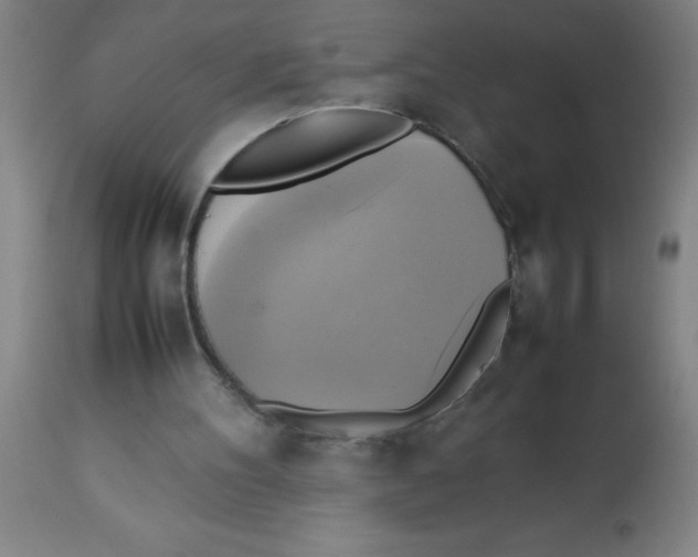 X0000113750100200910211155