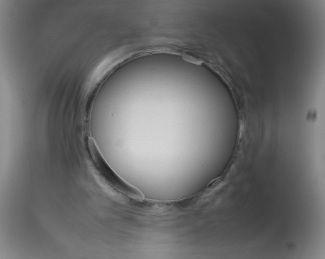 X0000113750101200910211155