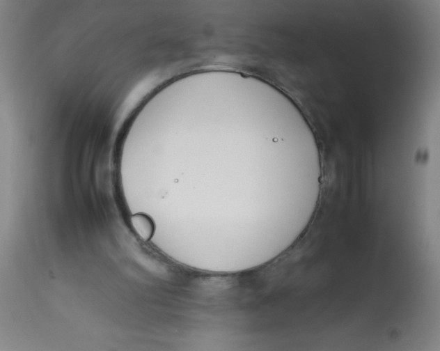 X0000113750102200910211155