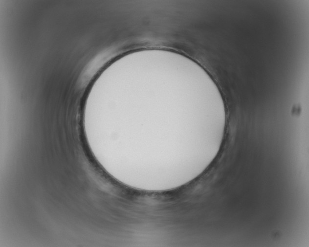 X0000113750103200910211155