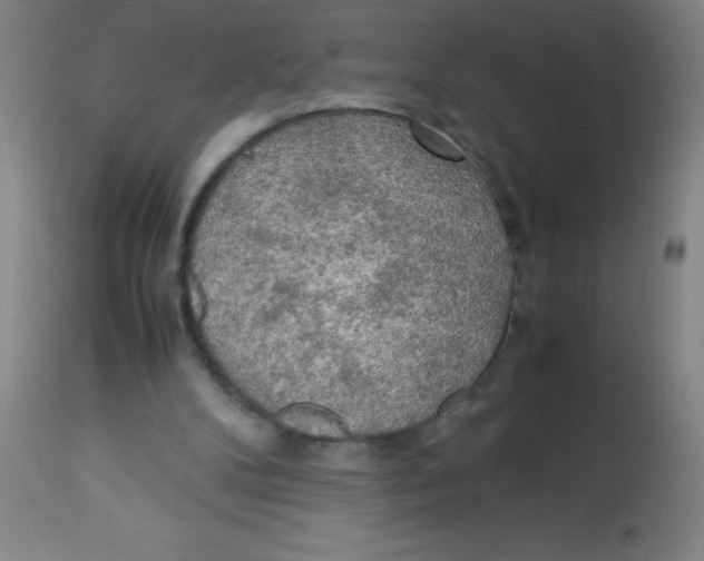 X0000113750104200910211155