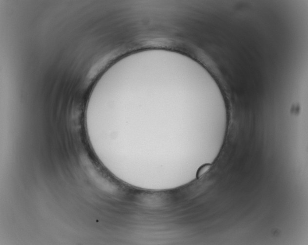 X0000113750106200910211155