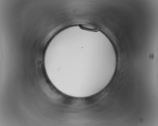 X0000113750107200910211155