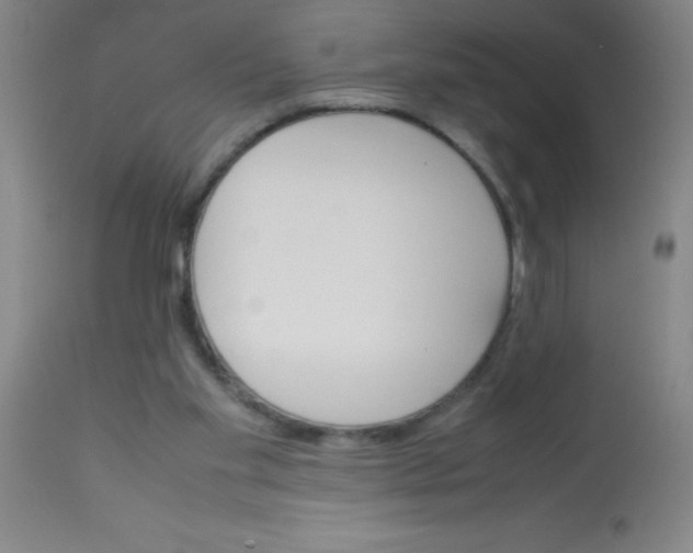 X0000113750109200910211155