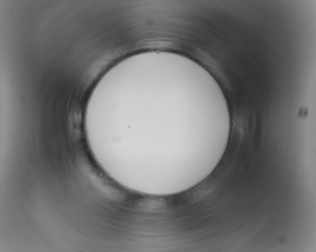 X0000113750110200910211155