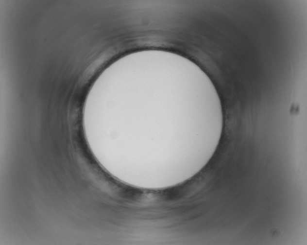 X0000113750111200910211155