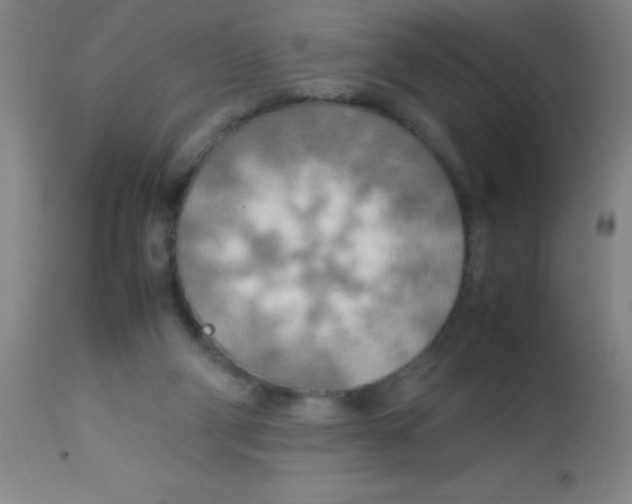 X0000113750114200910211155