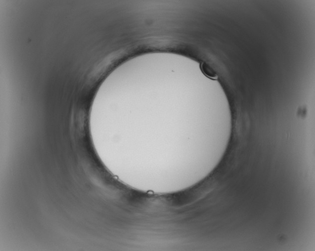 X0000113750115200910211155