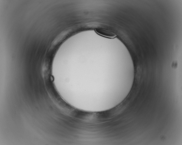 X0000113750116200910211155