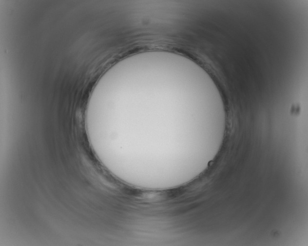 X0000113750117200910211155