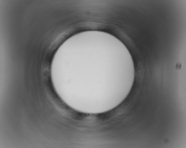 X0000113750119200910211155