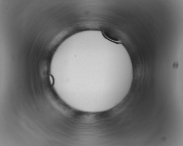 X0000113750120200910211155