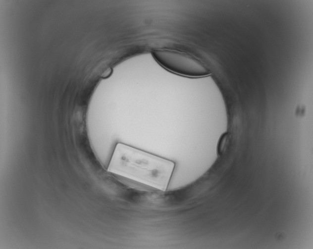 X0000113750121200910211155