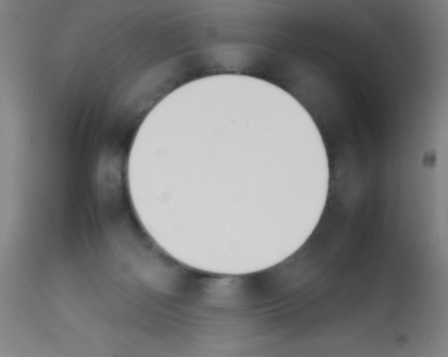 X0000113750122200910211155