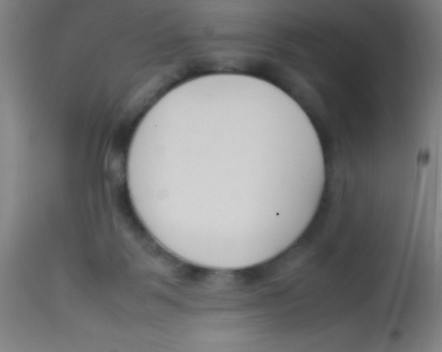 X0000113750123200910211155