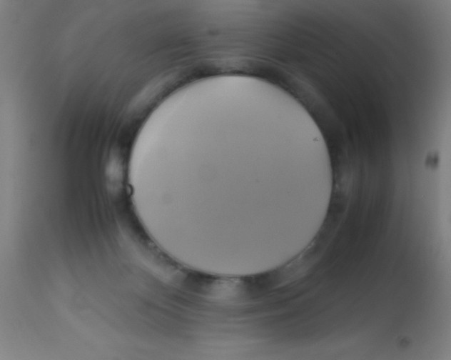 X0000113750124200910211155