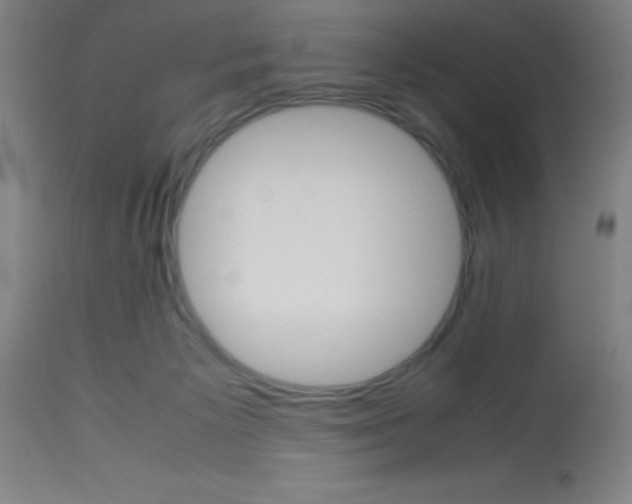 X0000113750125200910211155