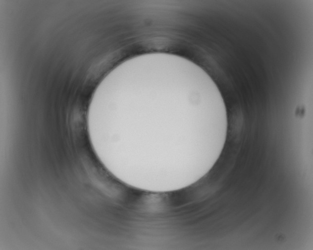 X0000113750126200910211155