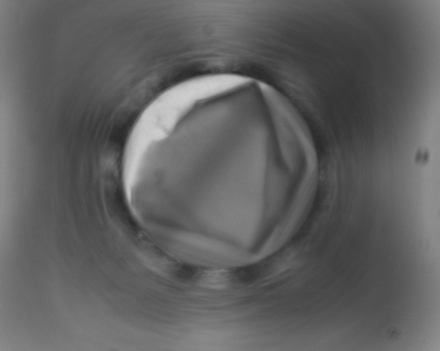 X0000113750127200910211155