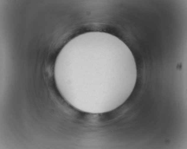 X0000113750131200910211155