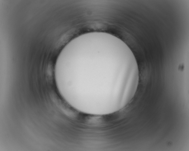 X0000113750132200910211155