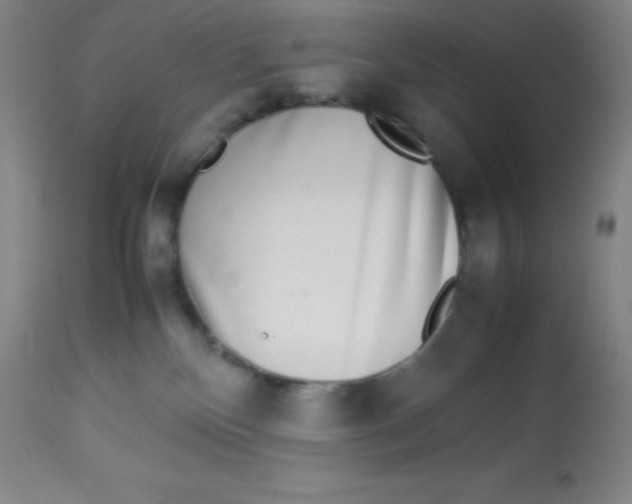 X0000113750136200910211155