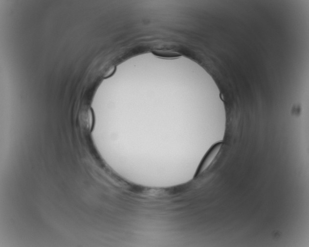 X0000113750137200910211155