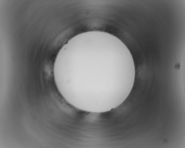 X0000113750138200910211155