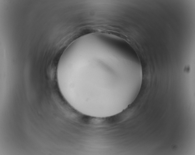 X0000113750139200910211155