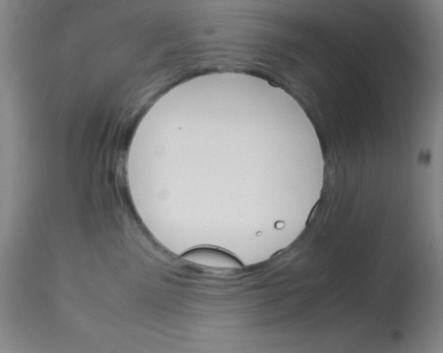 X0000113750141200910211155