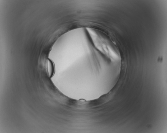 X0000113750143200910211155