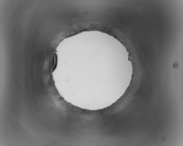 X0000113750144200910211155