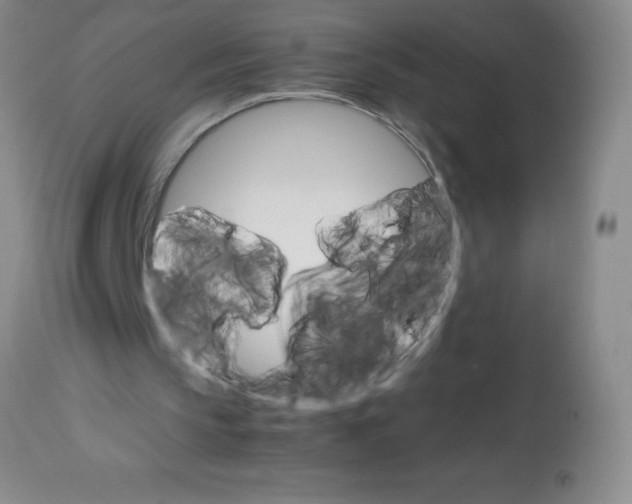 X0000113750145200910211154