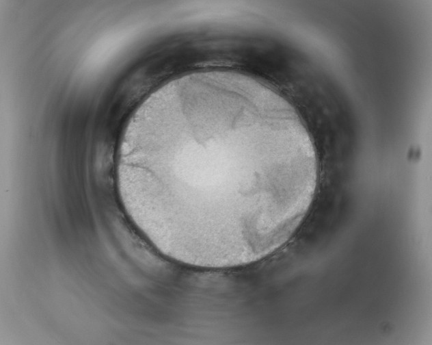 X0000113750146200910211154