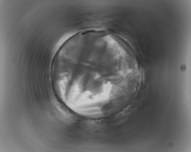 X0000113750147200910211154